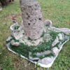 DRNIŠKA GRADINA