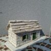 20260711_085427 Pojeta - pločarica