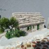 20260713_084739 Pojeta - pločarica