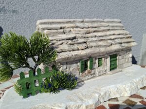 20260713_084739 Pojeta - pločarica