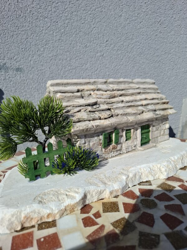 20260713_084739 Pojeta - pločarica