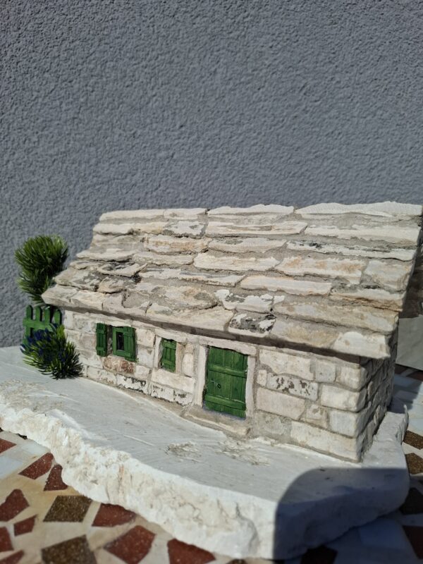 20260713_084754 Pojeta - pločarica